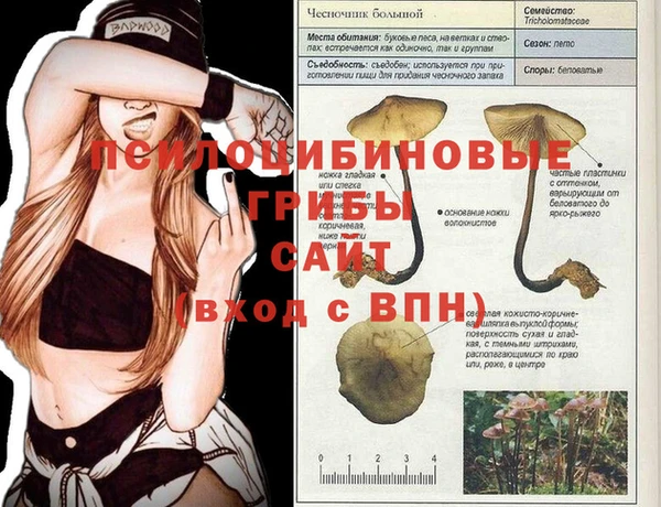 хмурый Балахна