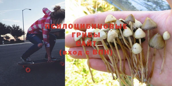 хмурый Балахна