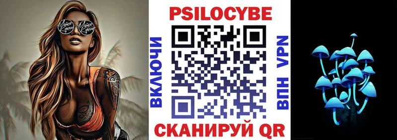Псилоцибиновые грибы Magic Shrooms  МЕГА вход  Гвардейск 